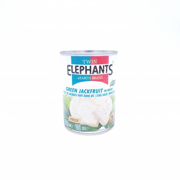 Fruit de Jacquier Vert dans Eau Salée 540g TWIN ELEPHANTS