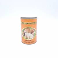 Nos prestations sur le secteur de Corse Bastia Ajaccio