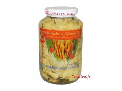 Nos prestations sur le secteur de Fréjus Saint Raphaël